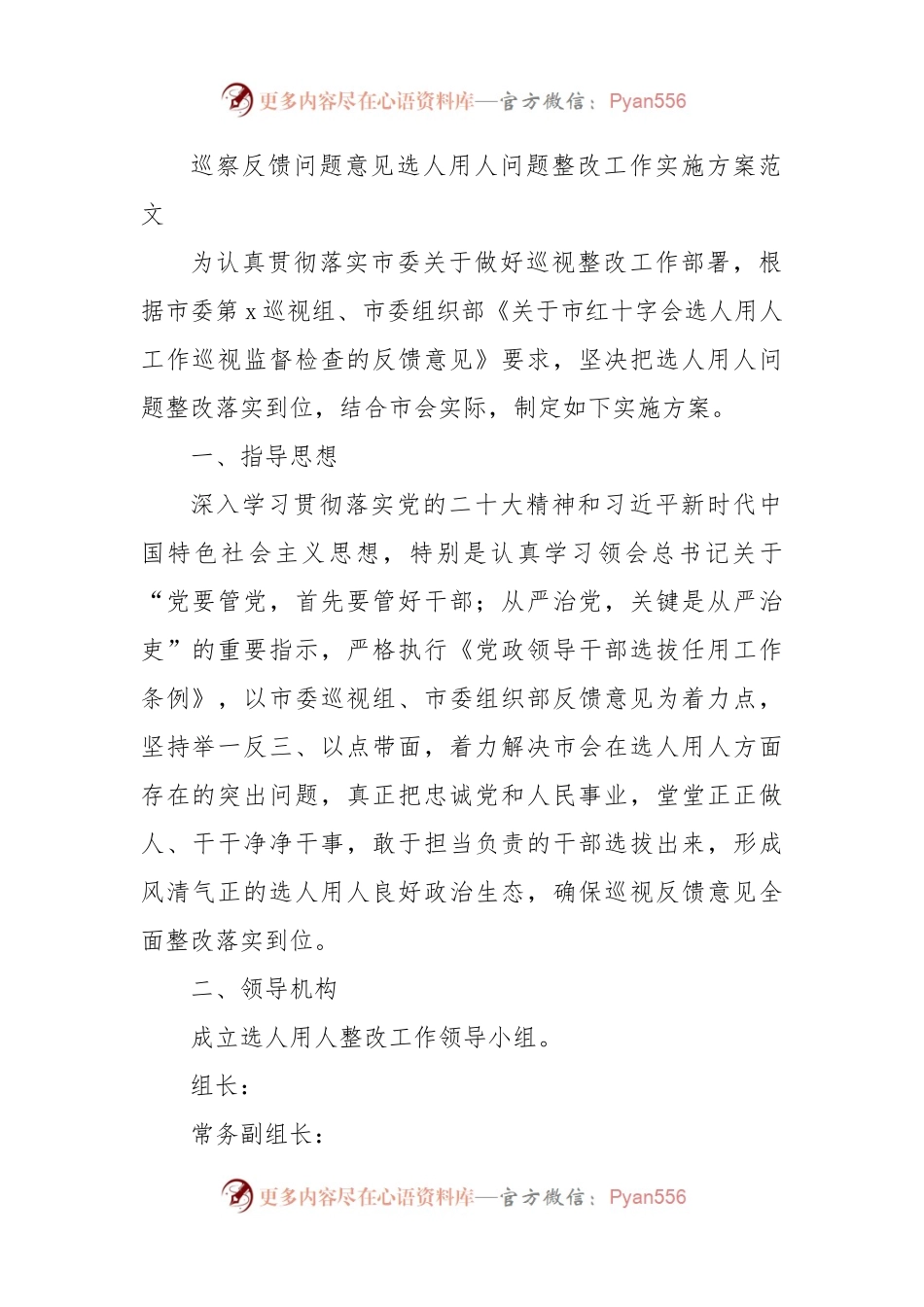 巡察反馈问题意见选人用人问题整改工作实施方案范文.docx_第1页