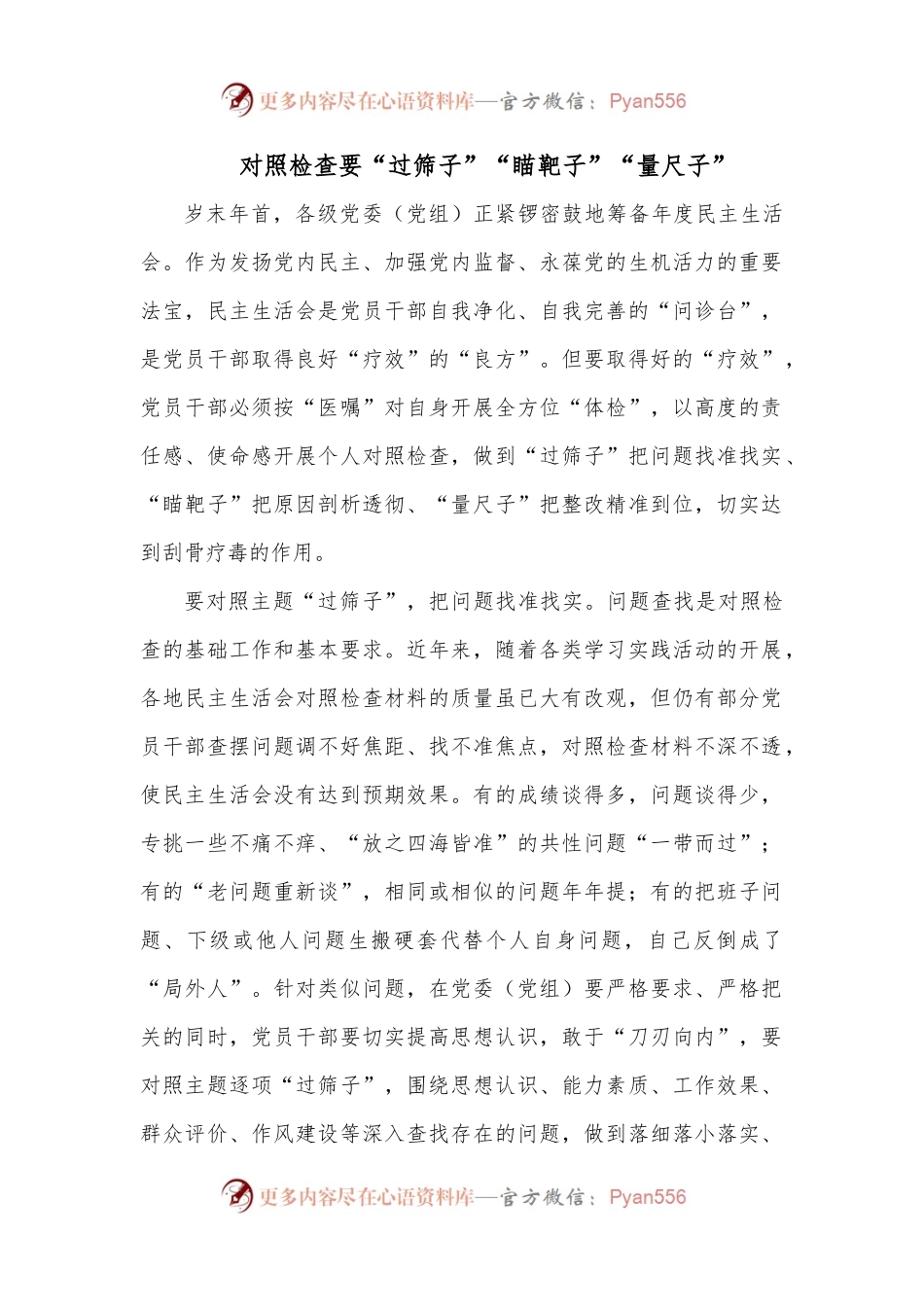 对照检查要“过筛子”“瞄靶子”“量尺子”.docx_第1页