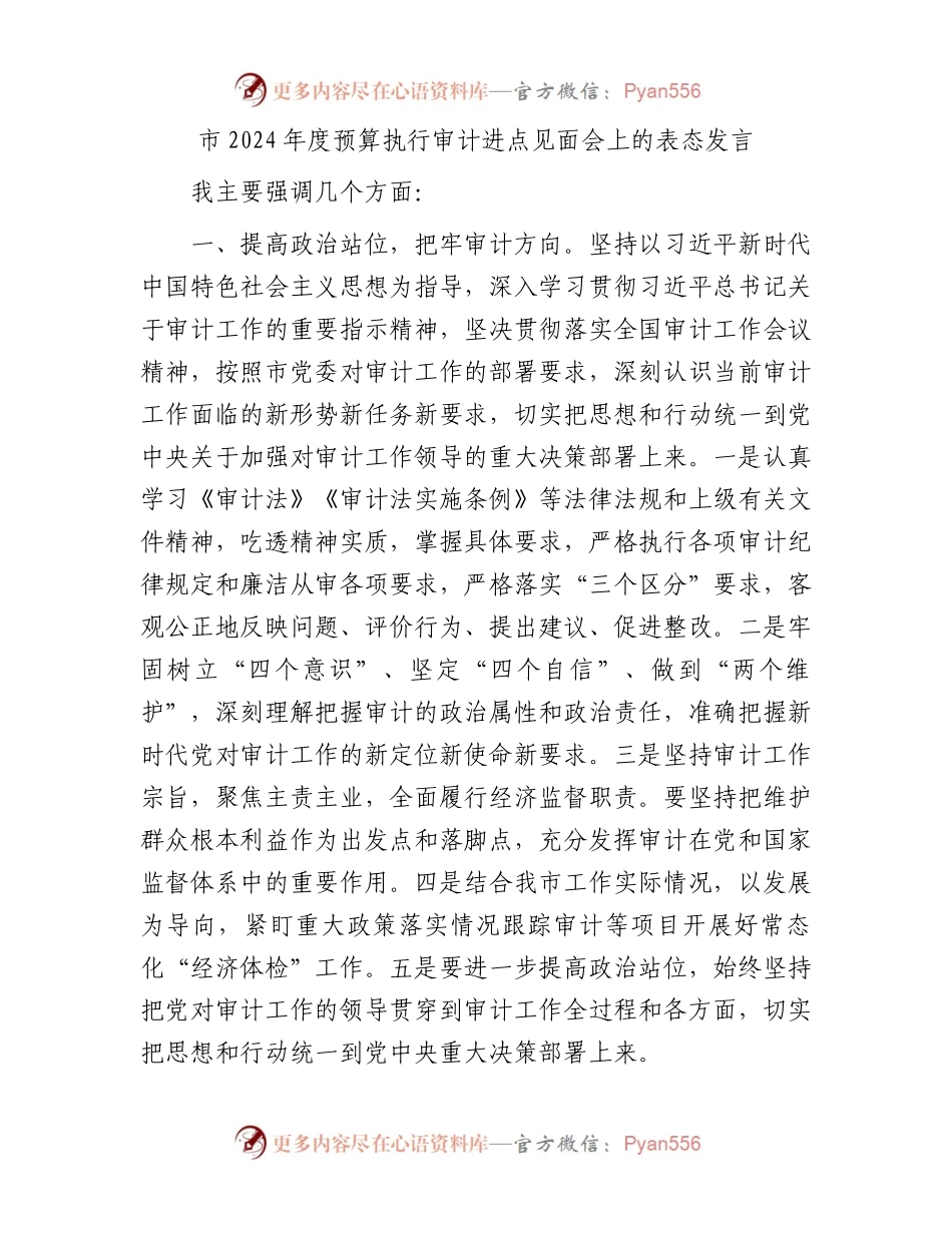 市2024年度预算执行审计进点见面会上的表态发言.docx_第1页