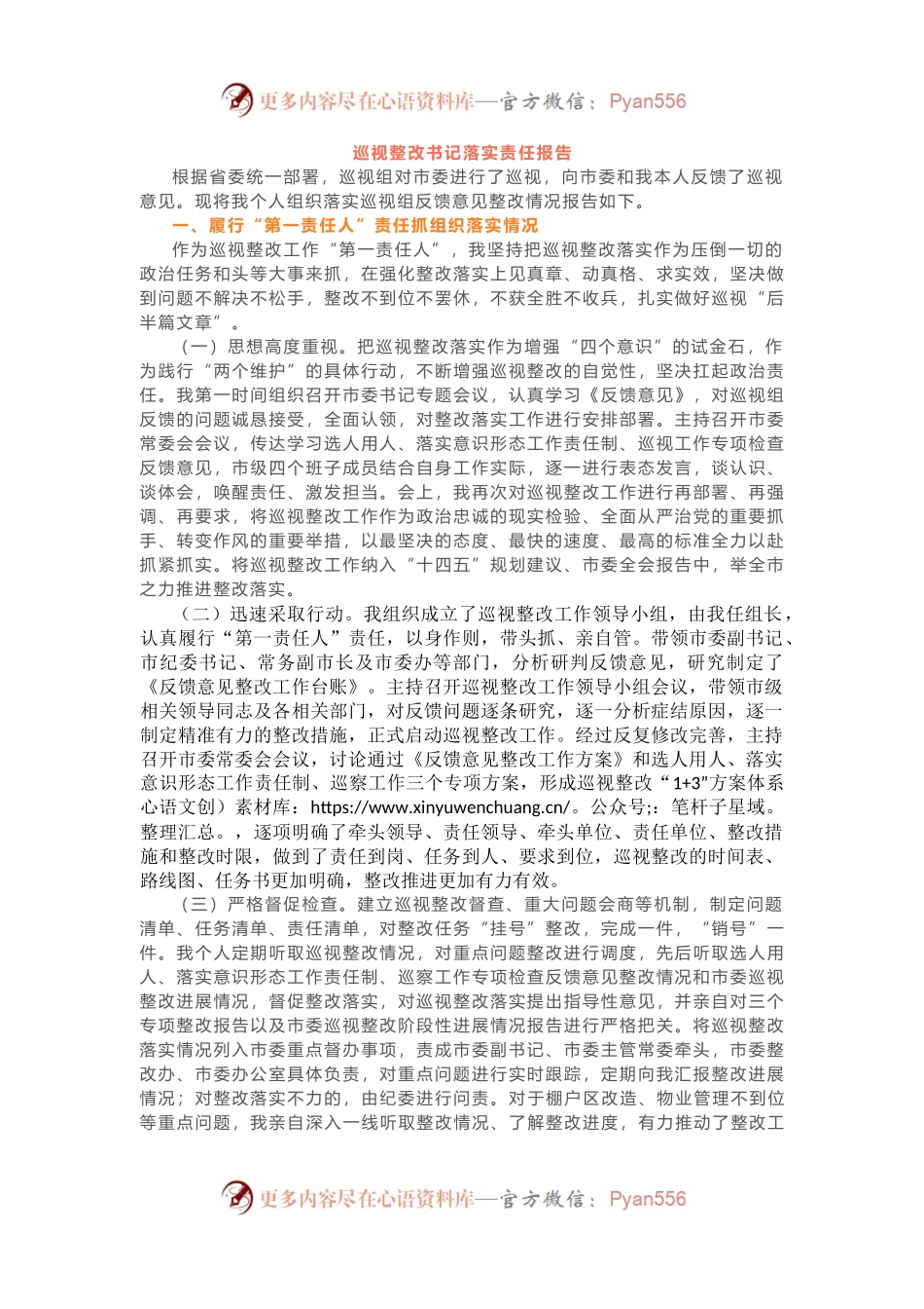 巡视整改书记落实责任报告.docx_第1页