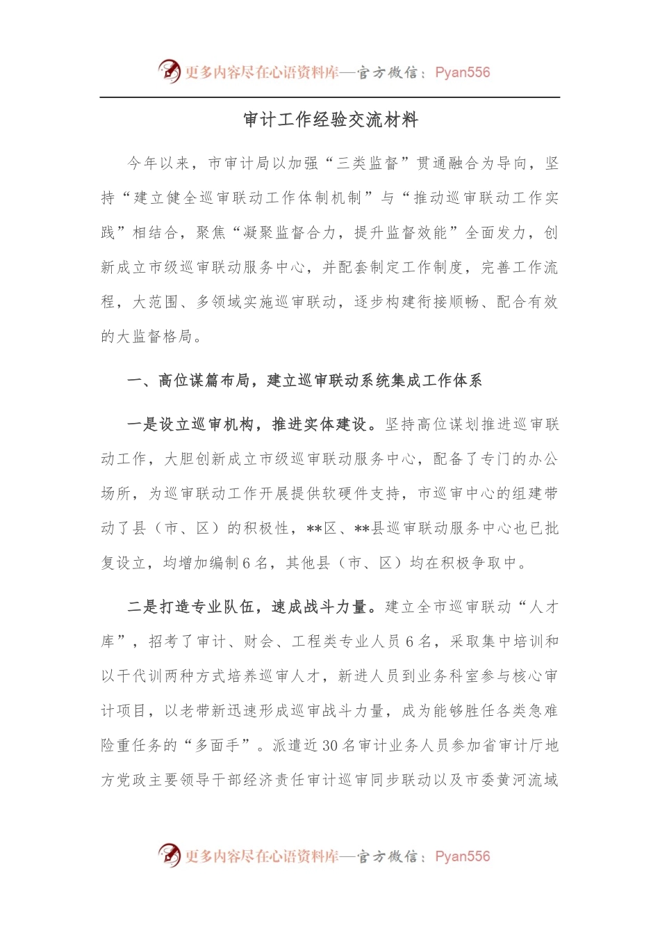 审计工作经验交流材料.docx_第1页