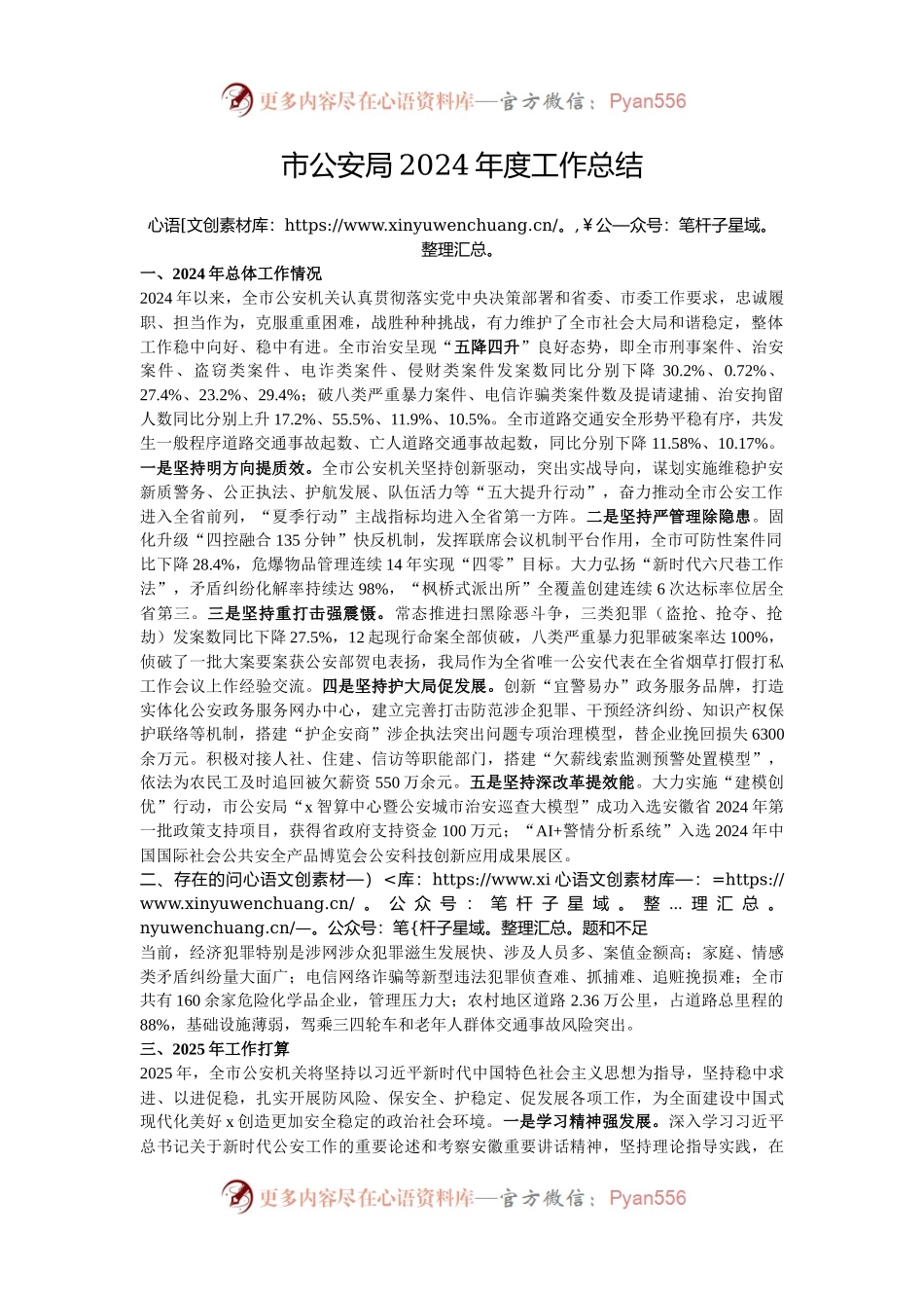 市公安局2024年度工作总结.docx_第1页