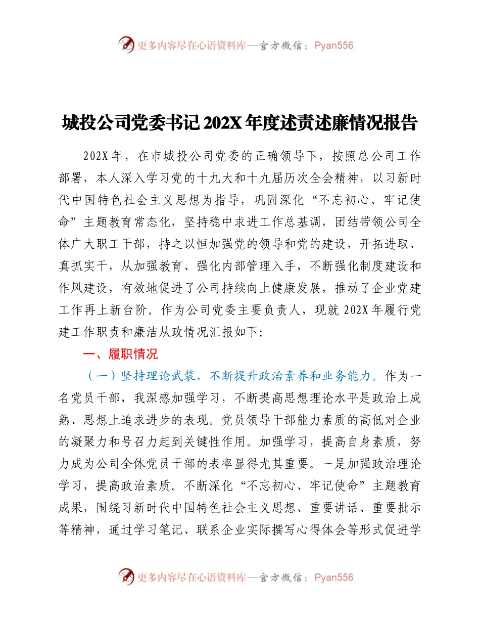 城投公司党委书记202X年度述责述廉情况报告.docx_第1页
