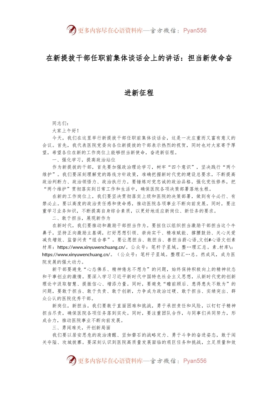 在新提拔干部任职前集体谈话会上的讲话：担当新使命奋进新征程.docx_第1页