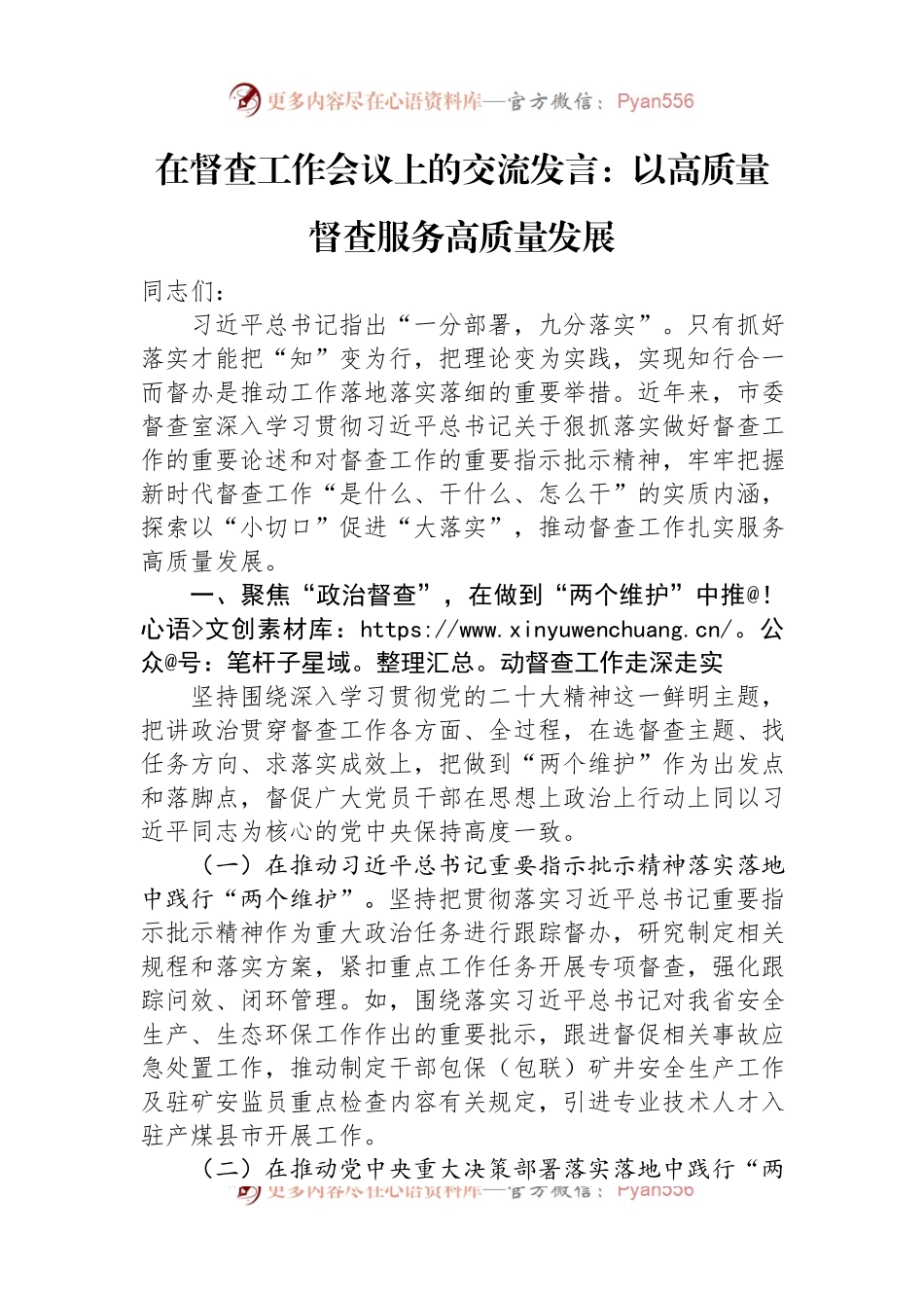 在督查工作会议上的交流发言：以高质量督查服务高质量发展.docx_第1页
