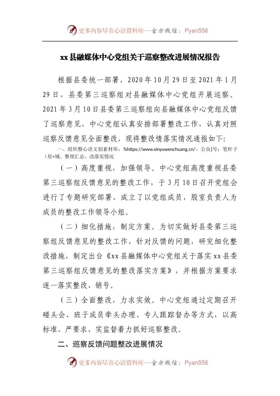巡察整改进展情况报告.docx_第1页