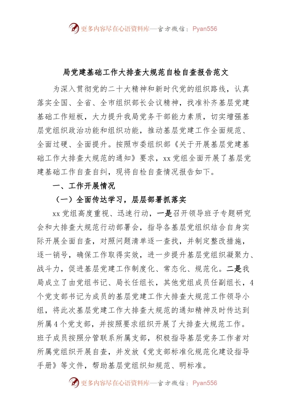 局党建基础工作大排查大规范自检自查报告汇报总结.docx_第1页