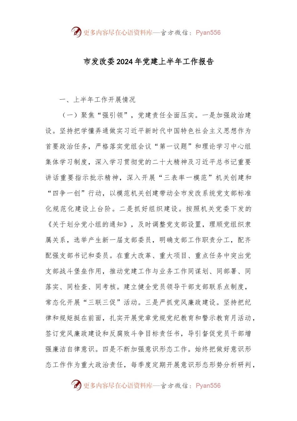 市发改委2024年党建上半年工作报告.docx_第1页