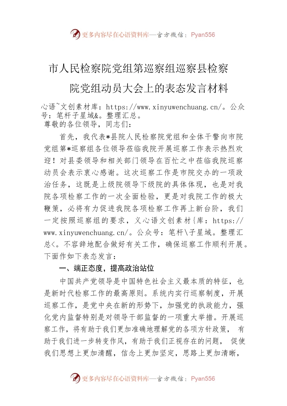 市人民检察院党组第巡察组巡察县检察院党组动员大会上的表态发言材料.docx_第1页