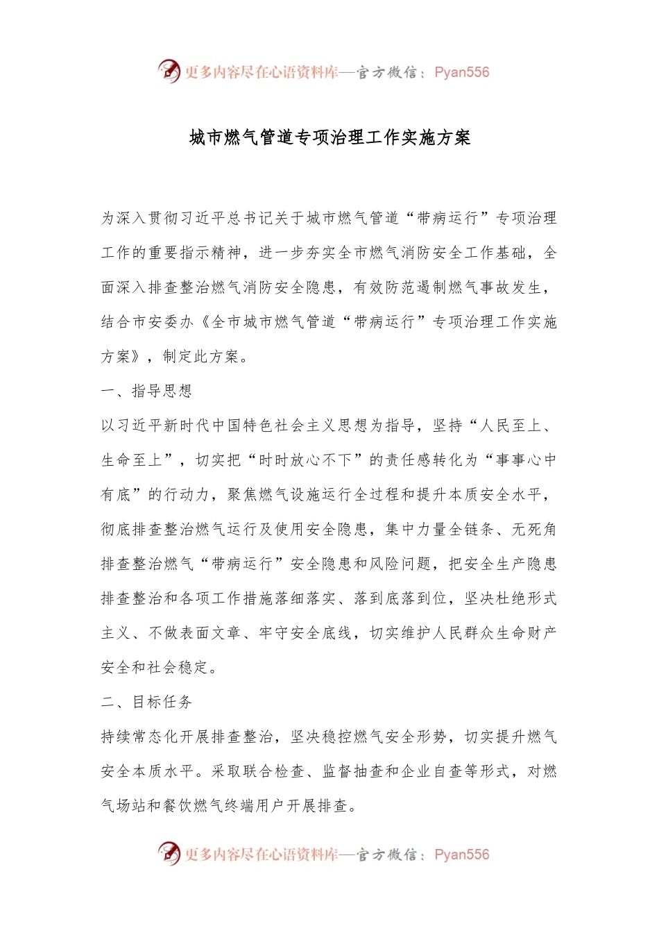 城市燃气管道专项治理工作实施方案.docx_第1页