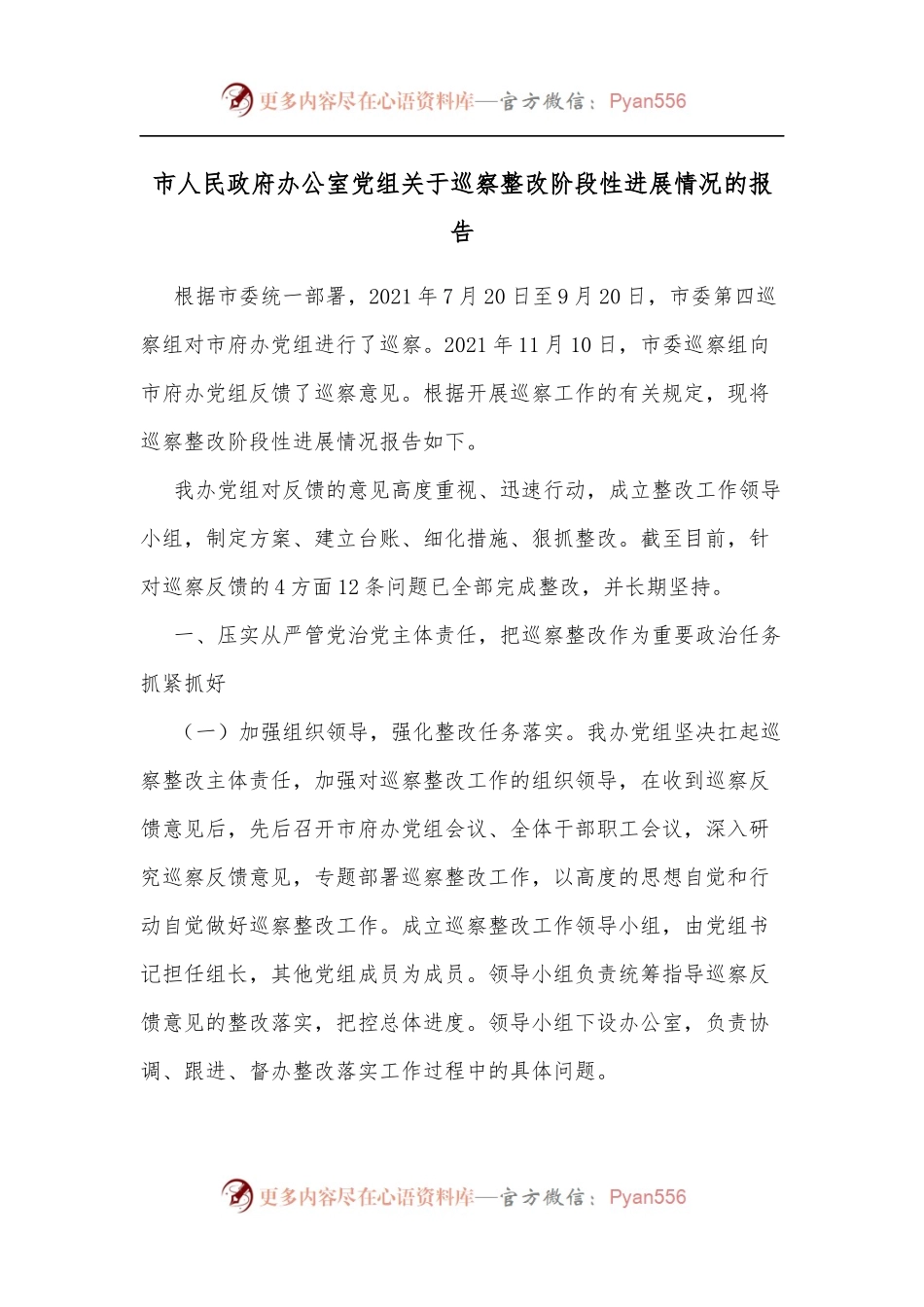 市人民政府办公室党组关于巡察整改阶段性进展情况的报告.docx_第1页