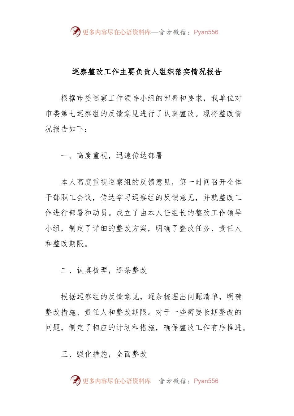 巡察整改工作主要负责人组织落实情况报告.docx_第1页