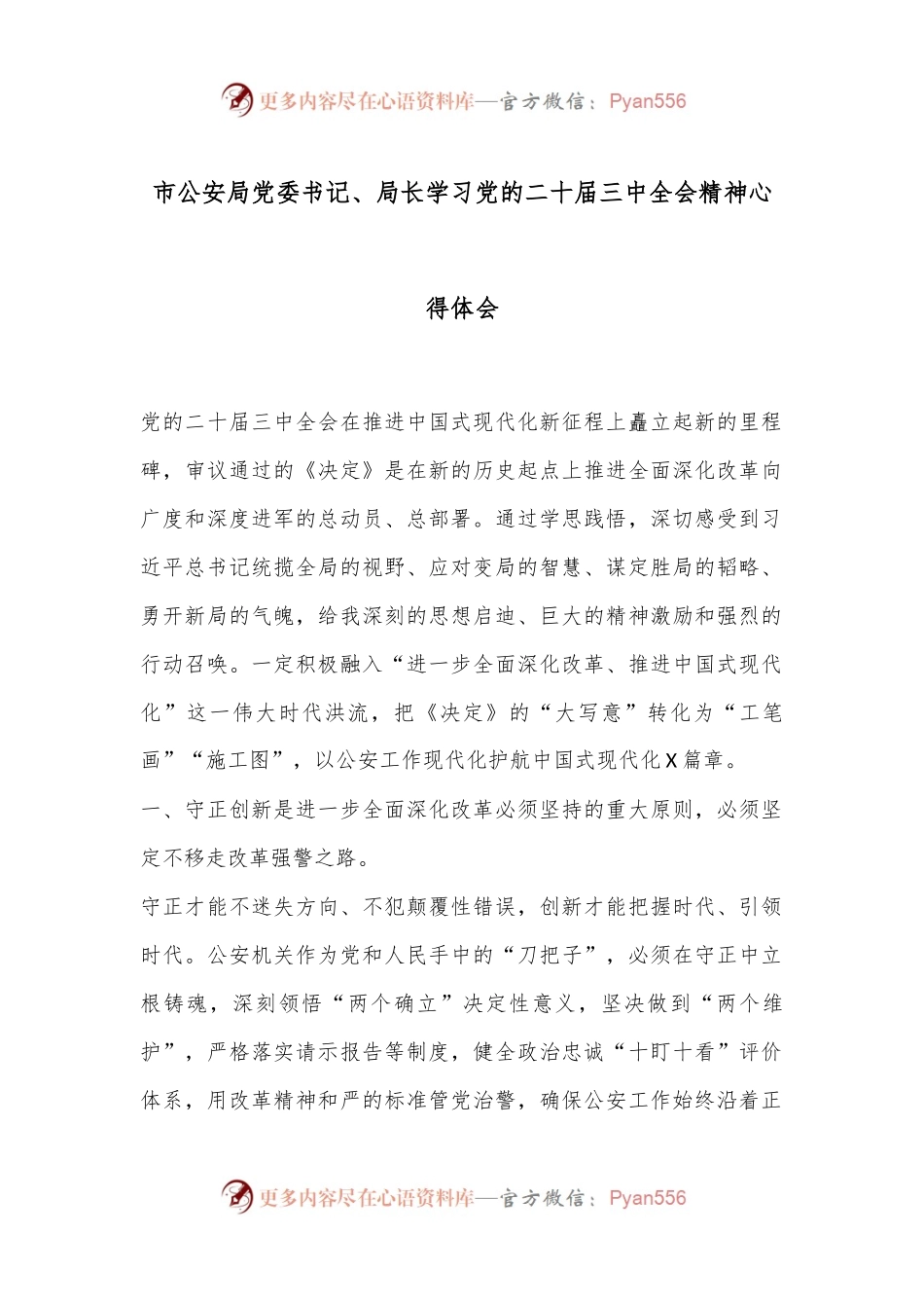 市公安局党委书记、局长学习党的二十届三中全会精神心得体会.docx_第1页