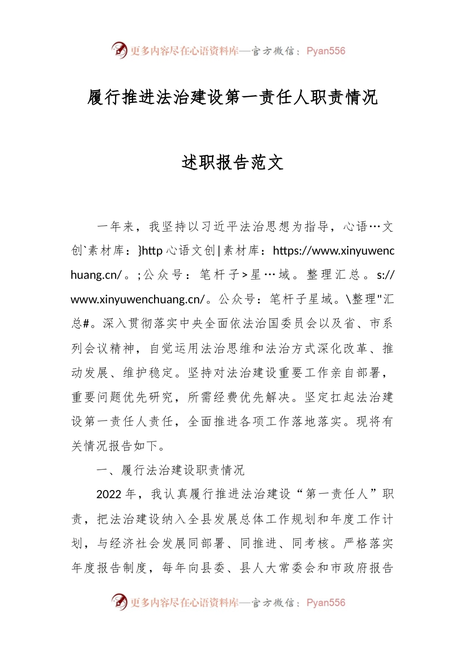 履行推进法治建设第一责任人职责情况述职报告范文.docx_第1页