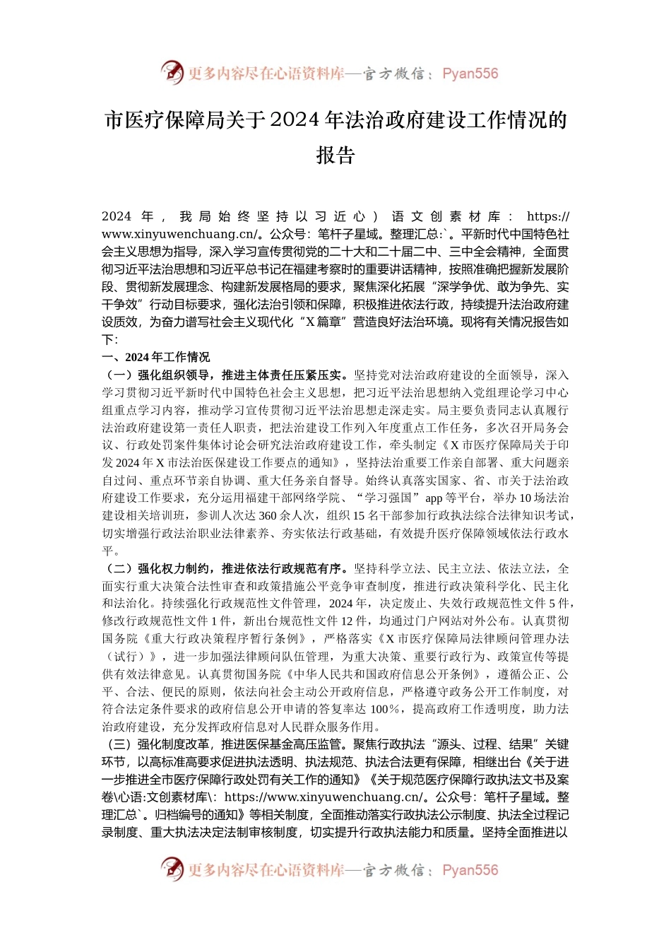 市医疗保障局关于2024年法治政府建设工作情况的报告.docx_第1页