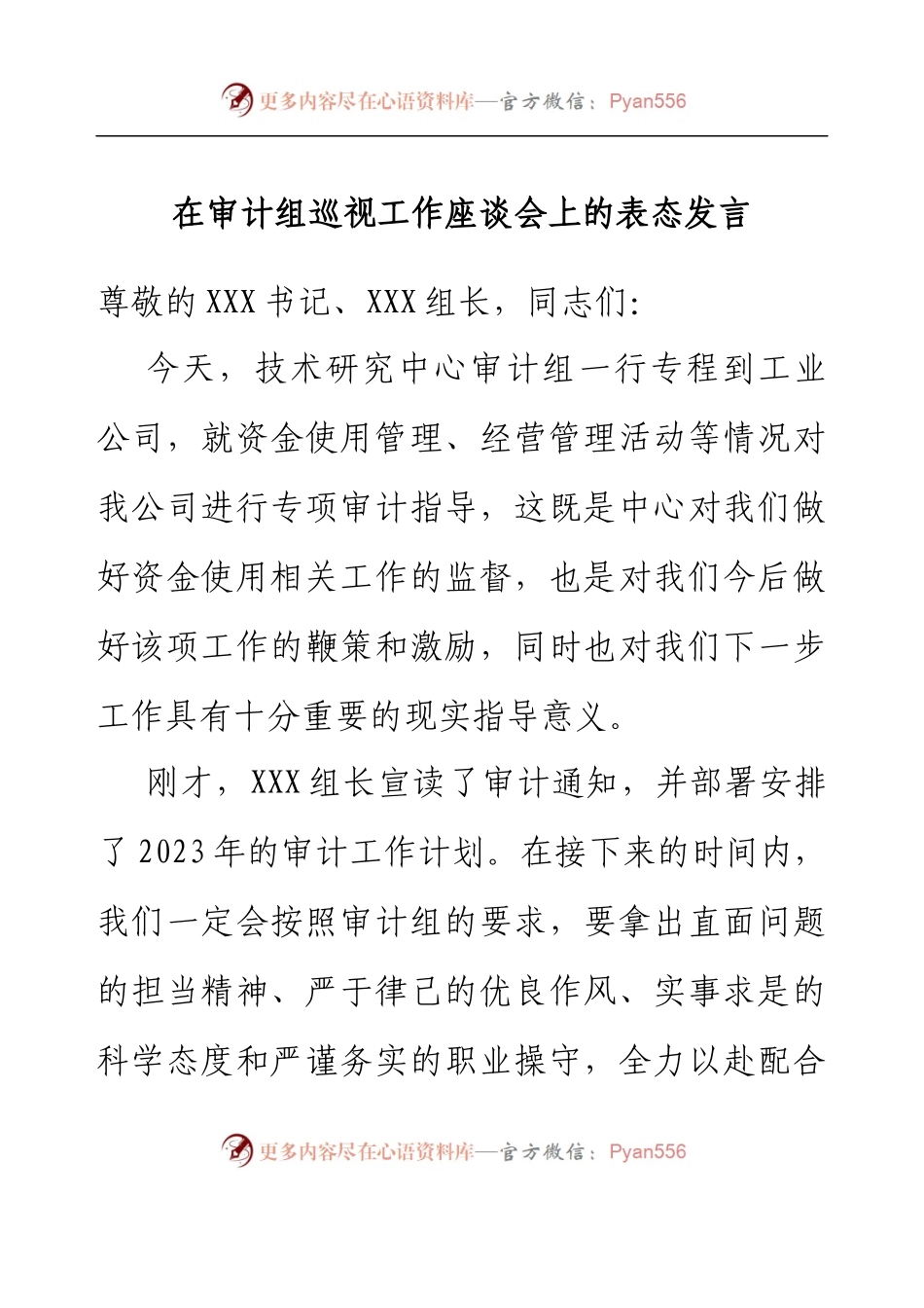 在审计组巡视工作座谈会上的表态发言.docx_第1页