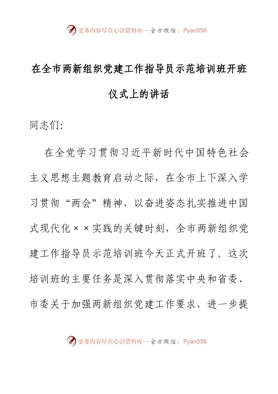 在全市两新组织党建工作指导员示范培训班开班仪式上的讲话.docx_第1页