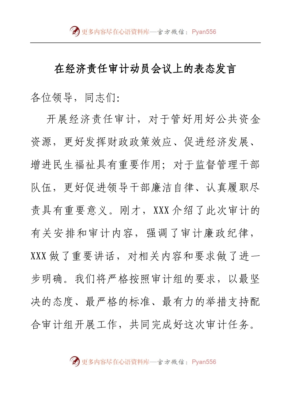在经济责任审计动员会议上的表态发言.docx_第1页