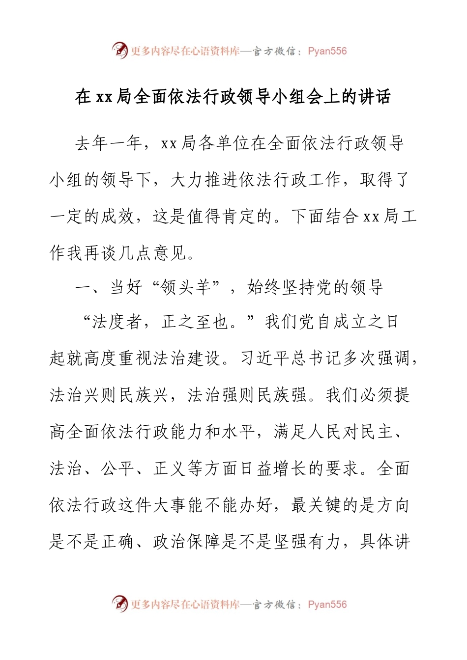 在xx局全面依法行政领导小组会上的讲话.docx_第1页