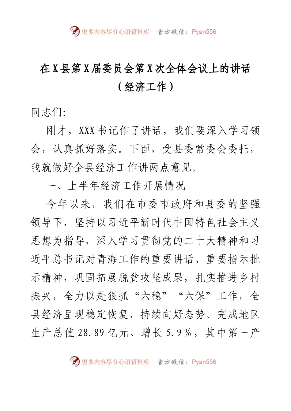 在X县第X届委员会第X次全体会议上的讲话（经济工作）.docx_第1页