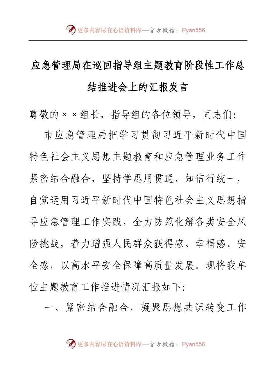 应急管理局在巡回指导组主题教育阶段性工作总结推进会上的汇报发言.docx_第1页