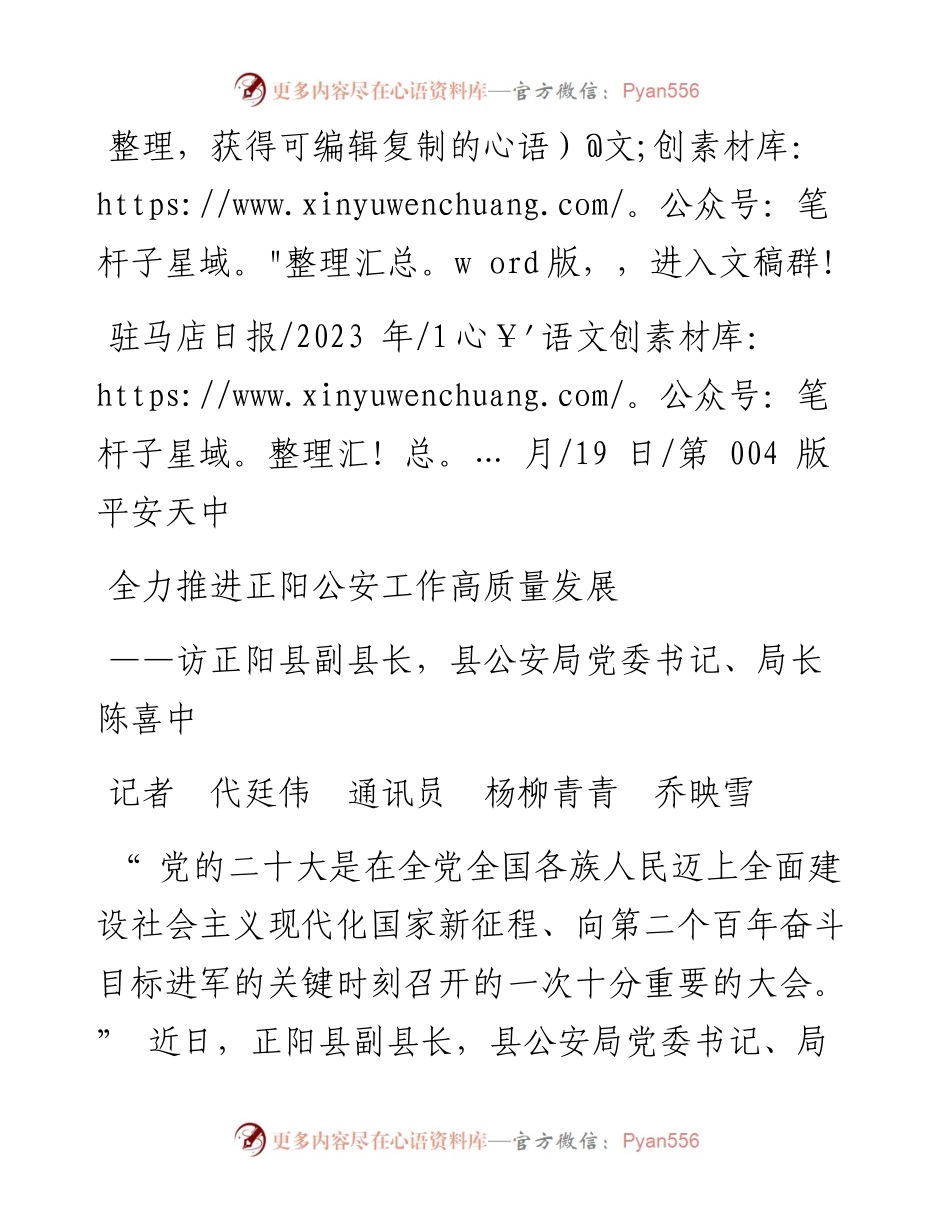 2023.01.19记者代廷伟通讯员杨柳青青乔映雪：全力推进正阳公安工作高质量发展.docx_第1页