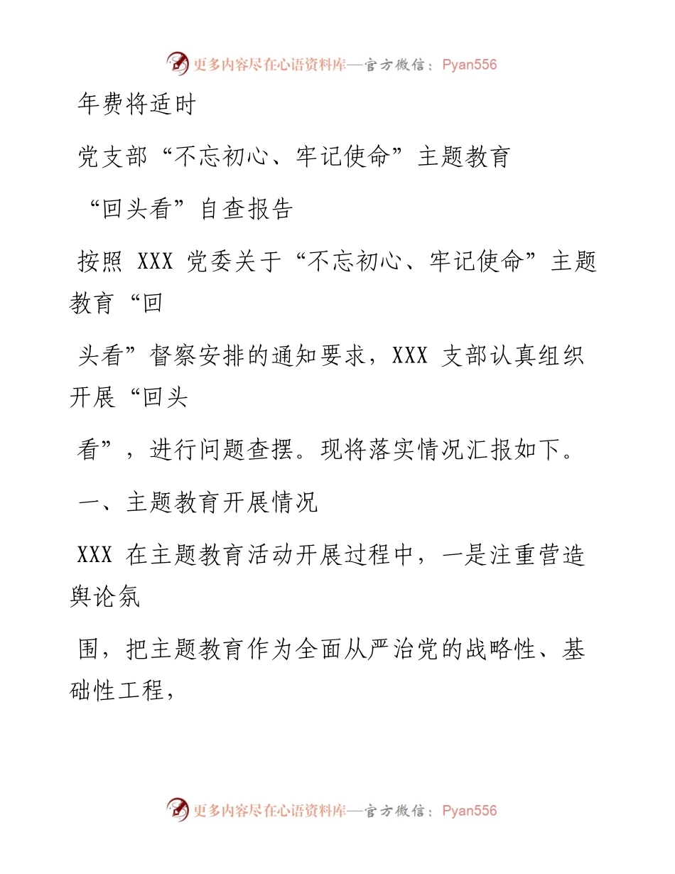 1124笔友分享党支部不忘初心牢记使命主题教育回头看自查报告.docx_第1页