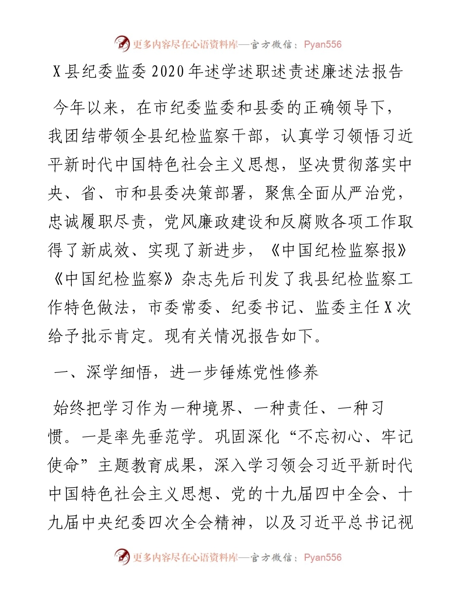 1219X县纪委监委述学述职述责述廉述法报告.docx_第1页