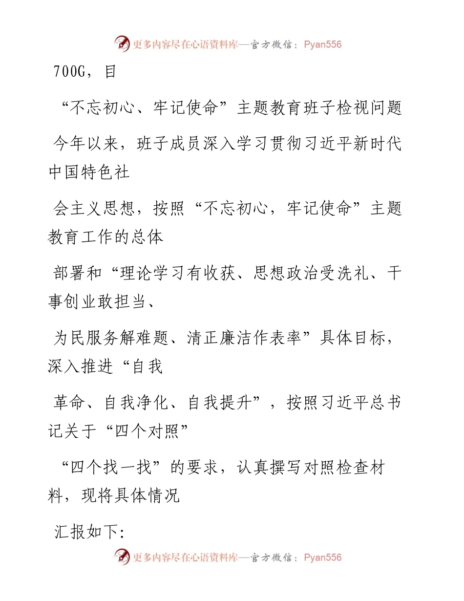 1117笔友分享不忘初心牢记使命主题教育班子检视问题.docx_第1页