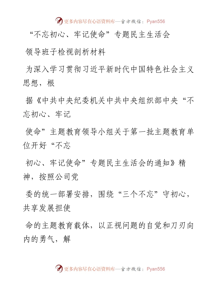 1130笔友分享不忘初心牢记使命专题民主生活会领导班子检视剖析材料.docx_第1页