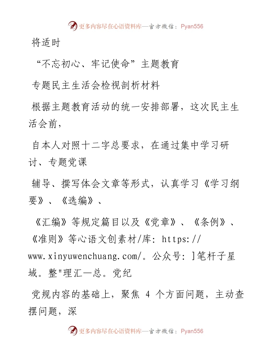 1104笔友分享不忘初心牢记使命主题教育专题民主生活会检视剖析材料.docx_第1页