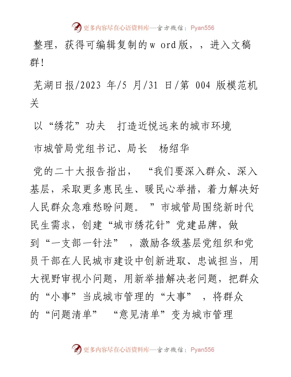 2023.05.31市城管局党组书记、局长杨绍华：以绣花功夫打造近悦远来的城市环境.docx_第1页