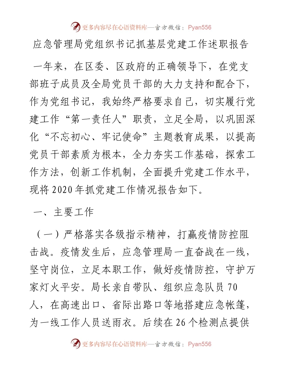 1125应急管理局党组织书记抓基层党建工作述职报告.docx_第1页