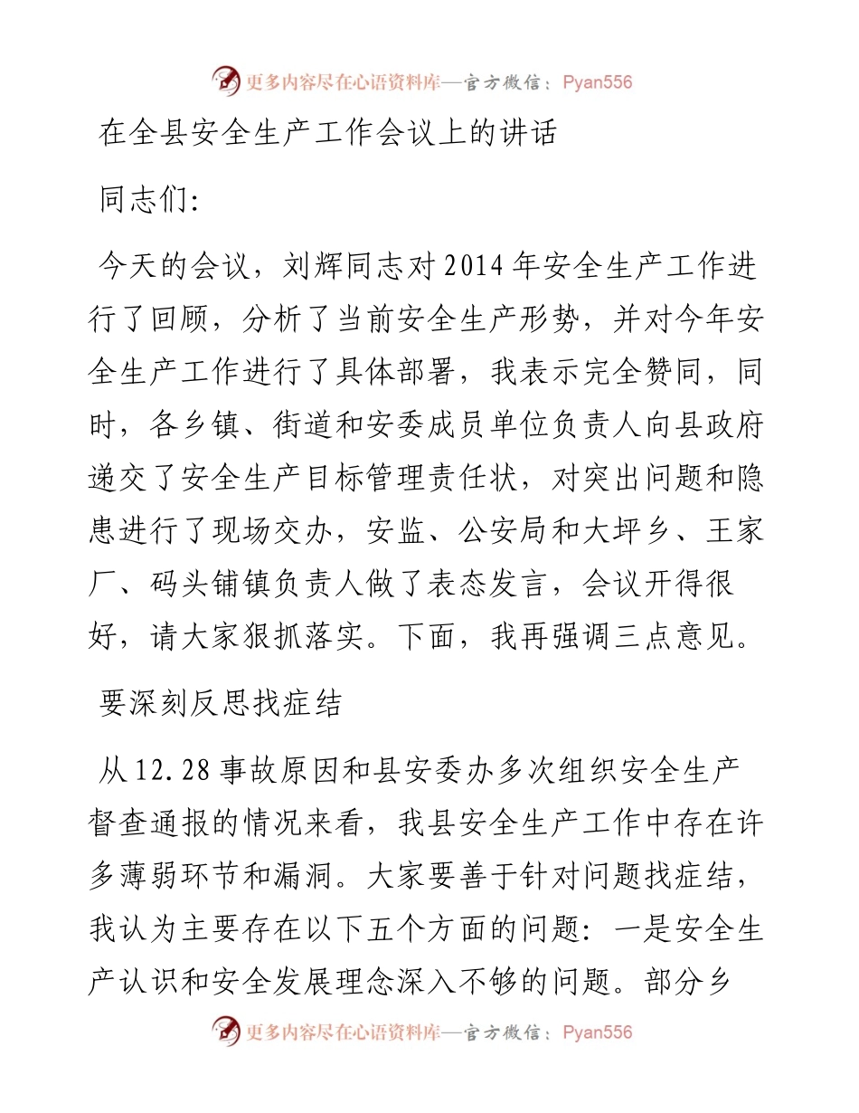19-在全县安全生产工作会议上的讲话.docx_第1页