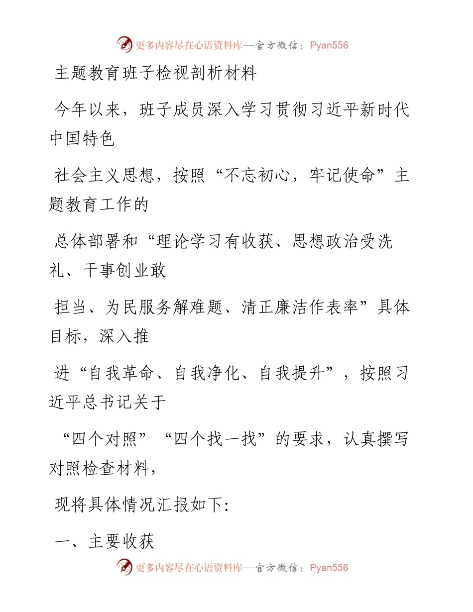 1204笔友分享主题教育班子检视剖析材料.docx_第1页