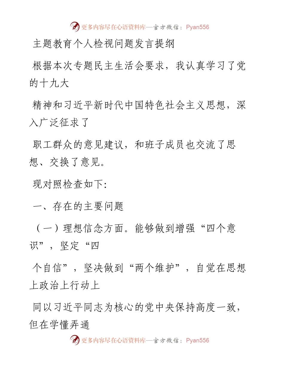 1119笔友分享主题教育个人检视问题发言提纲.docx_第1页
