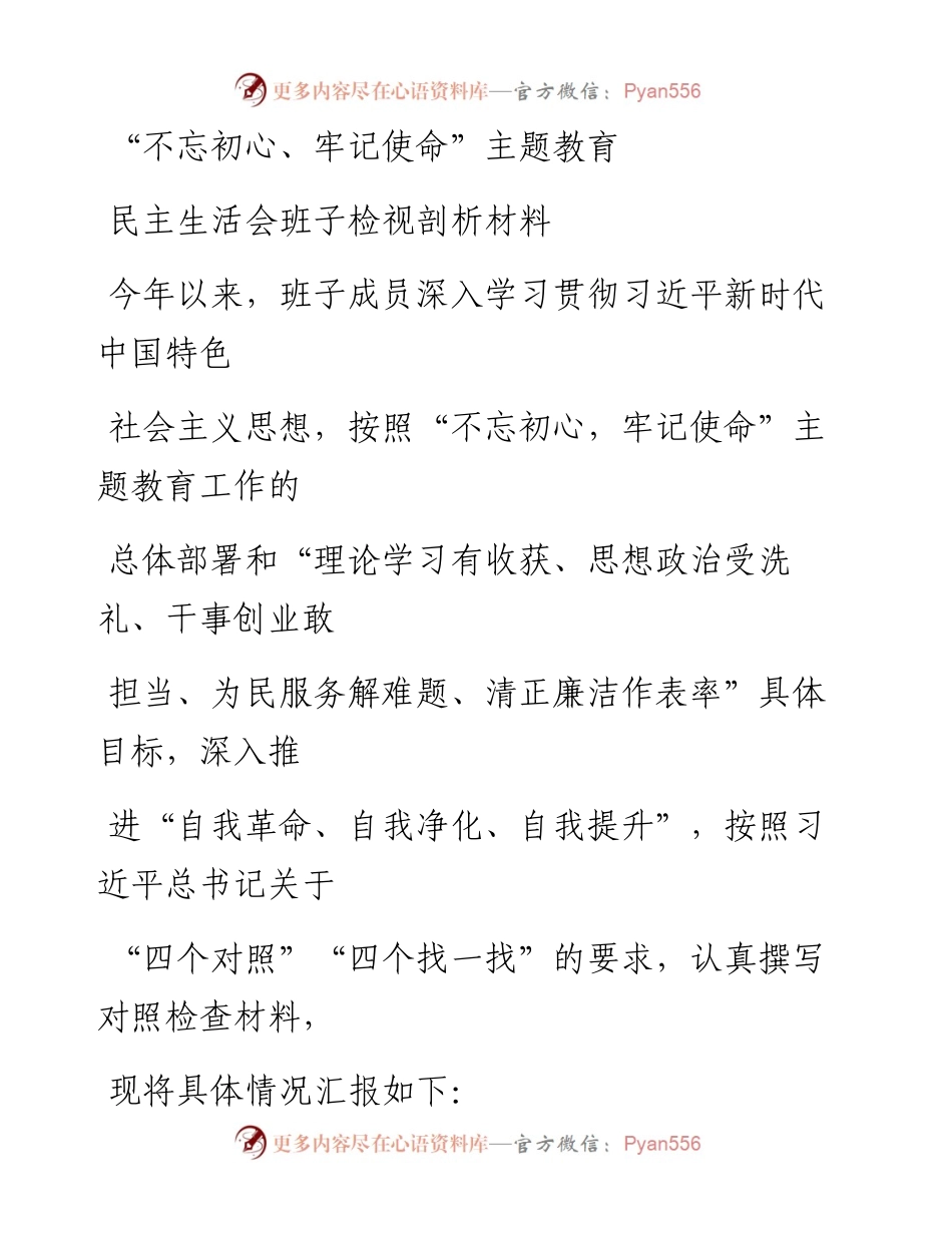 1128笔友分享不忘初心牢记使命主题教育民主生活会班子检视剖析材料.docx_第1页