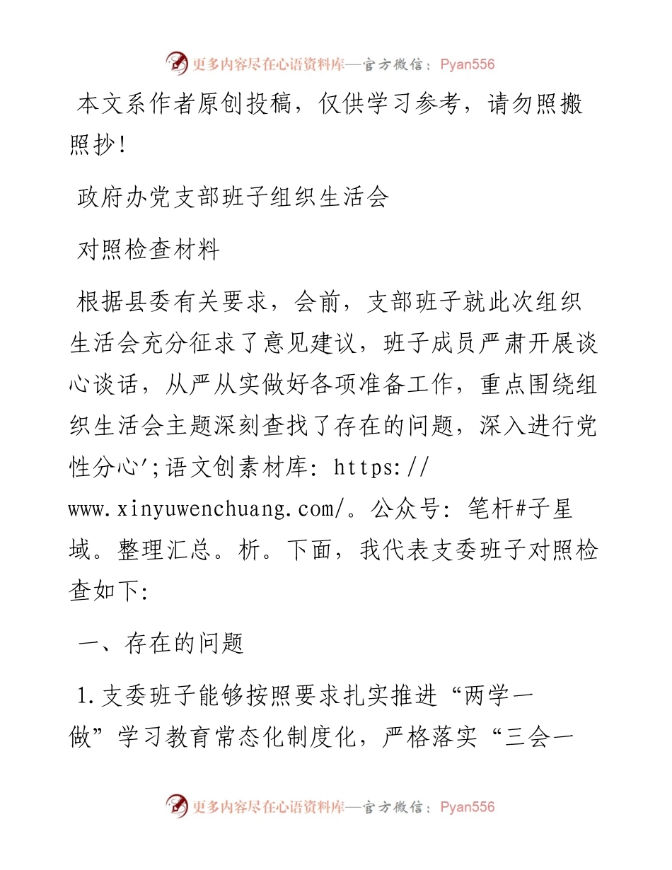 1902098-政府办党支部对照检查材料.docx_第1页