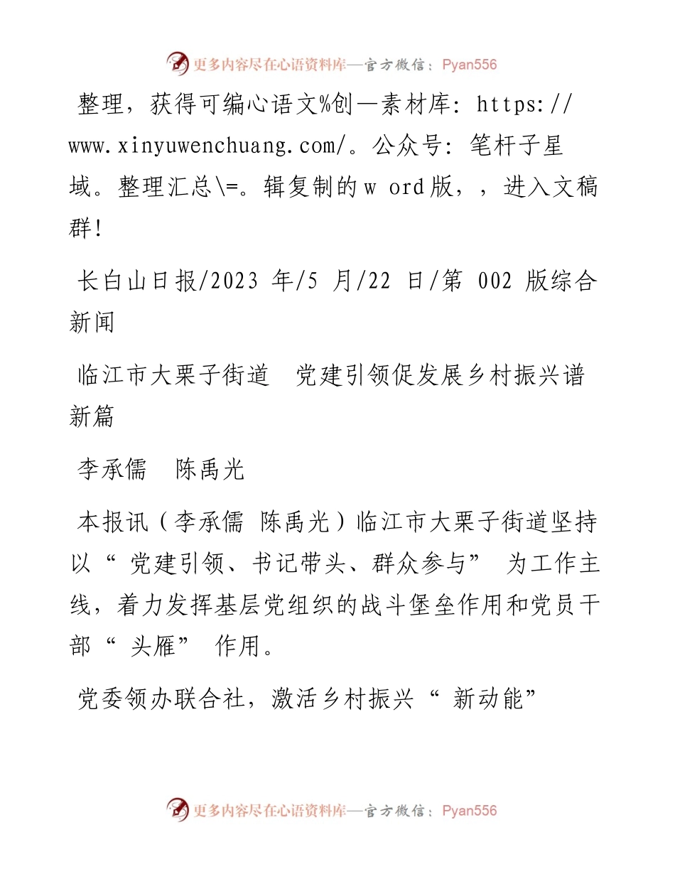 2023.05.22李承儒陈禹光：临江市大栗子街道党建引领促发展乡村振兴谱新篇.docx_第1页