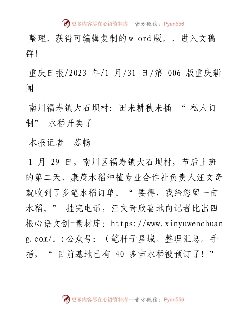 2023.01.31本报记者苏畅：南川福寿镇大石坝村：田未耕秧未插私人订制水稻开卖了.docx_第1页