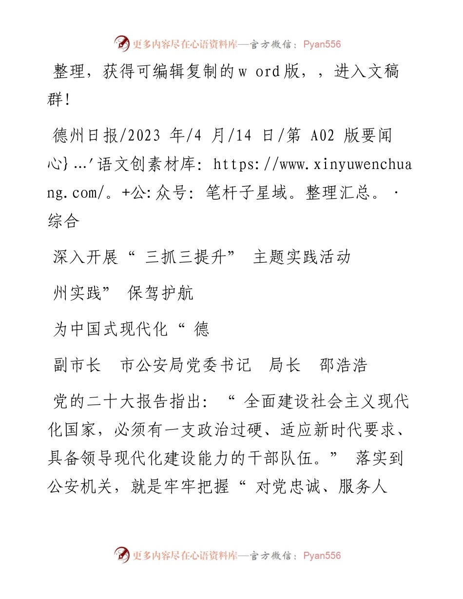 2023.04.14公安局局长邵浩浩：深入开展三抓三提升主题实践活动为中国式现代化德州实践保驾护航.docx_第1页
