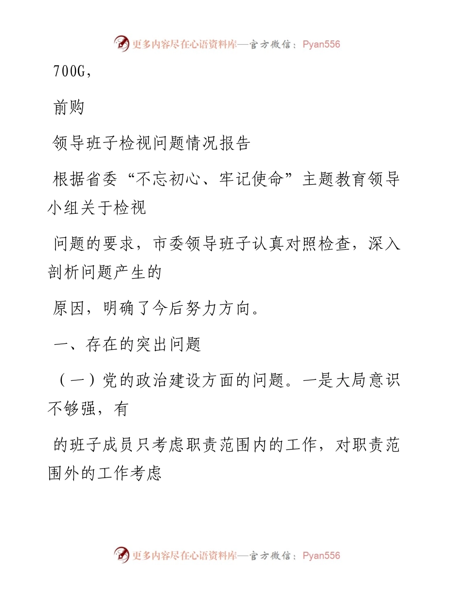 1113笔友分享领导班子检视问题情况报告.docx_第1页