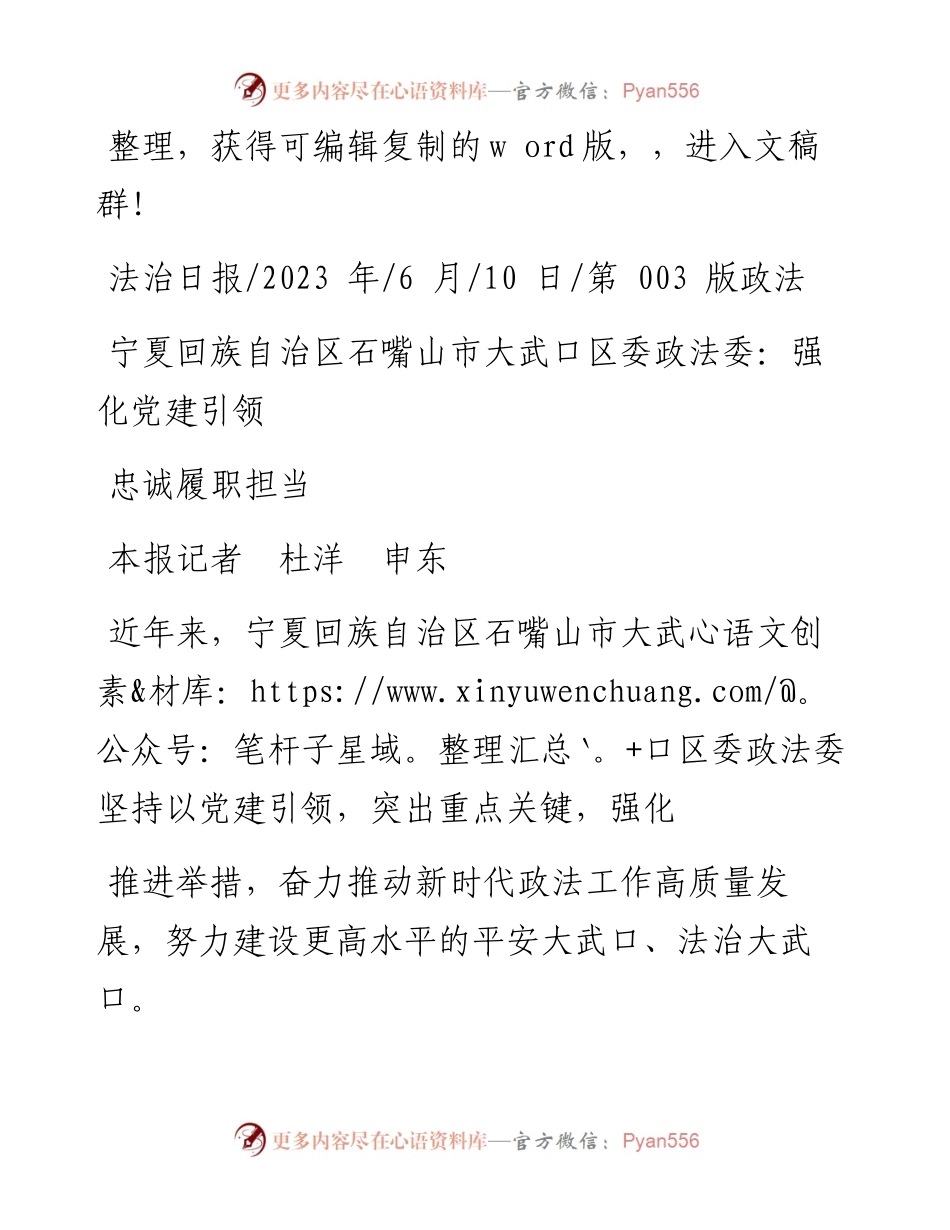 2023.06.10本报记者杜洋申东：宁夏回族自治区石嘴山市大武口区委政法委：强化党建引领忠诚履职担当.docx_第1页
