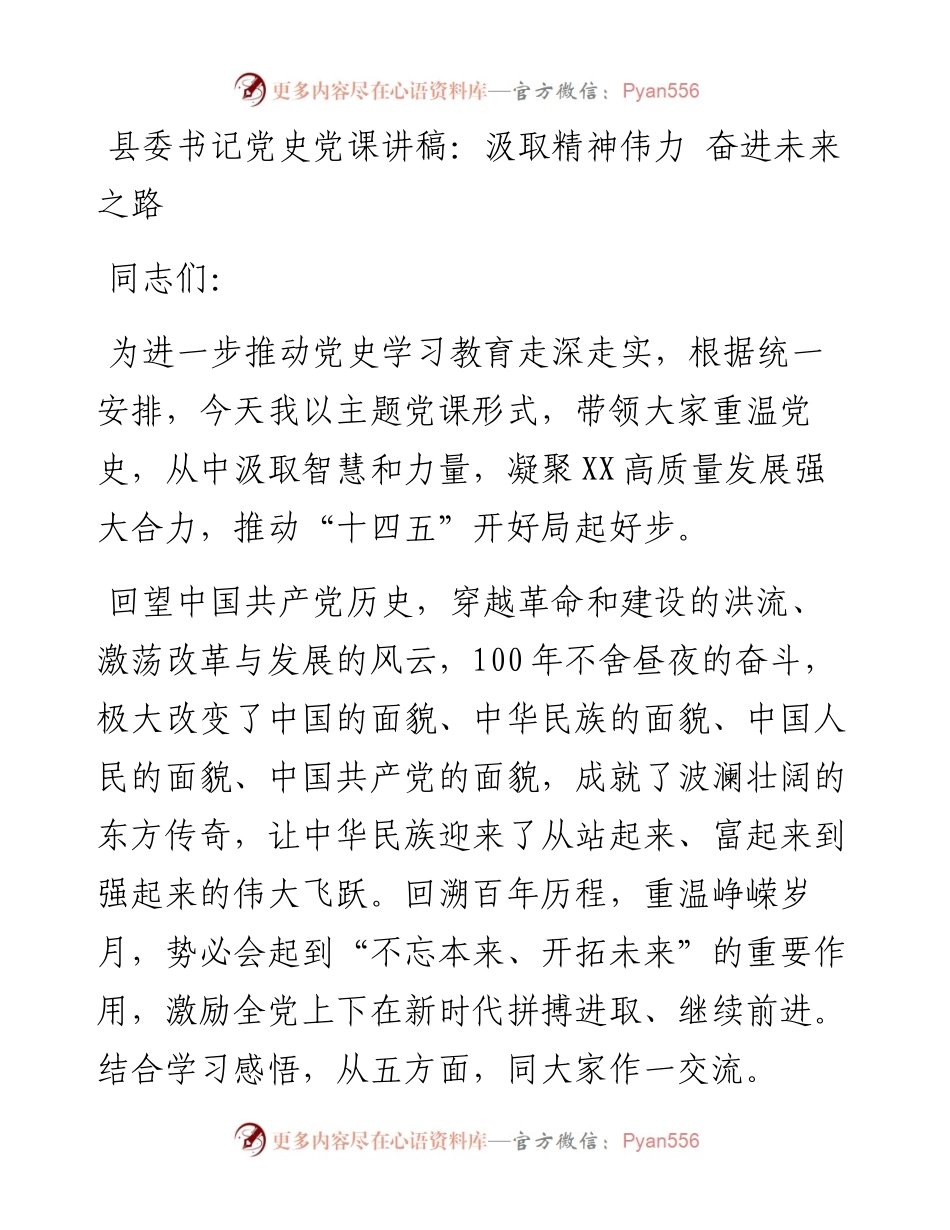 15016【县委书记党史党课讲稿：汲取精神伟力 奋进未来之路.docx_第1页