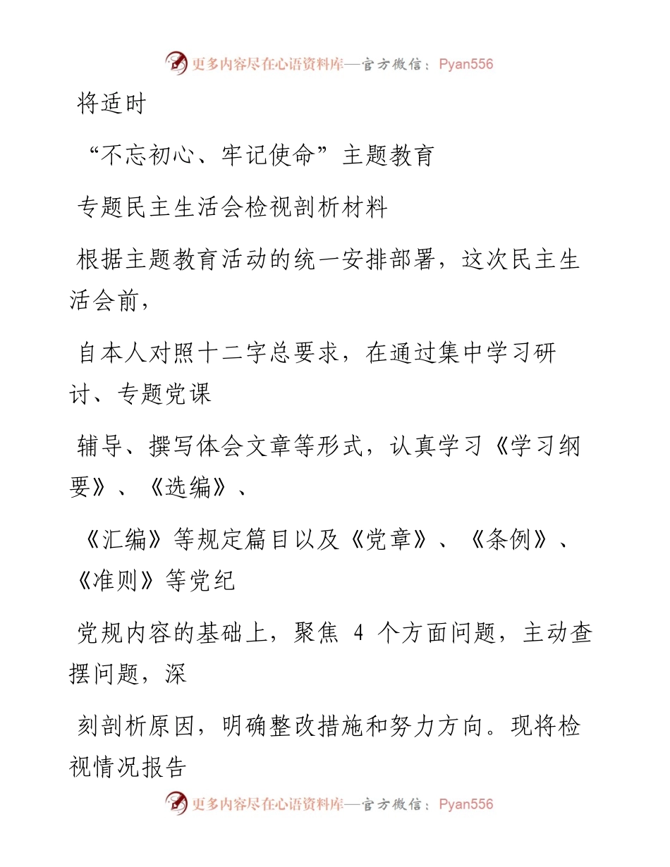 1101笔友分享不忘初心牢记使命主题教育专题民主生活会检视剖析材料.docx_第1页