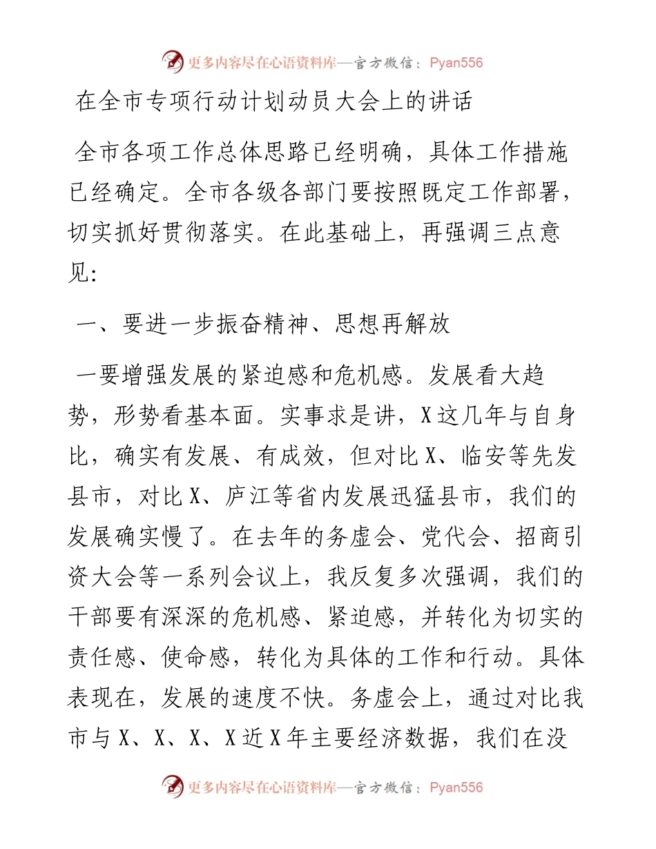 13525【在全市专项行动计划动员大会上的讲话.docx_第1页