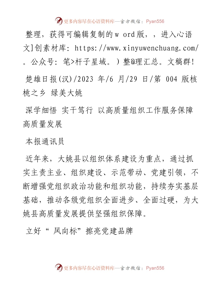2023.06.29本报通讯员：深学细悟实干笃行以高质量组织工作服务保障高质量发展.docx_第1页