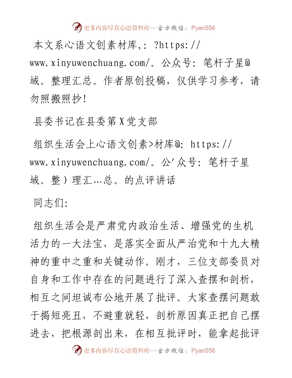 1902106-县委书记以普通党员身份参加党支部组织生活会上的点评发言.docx_第1页