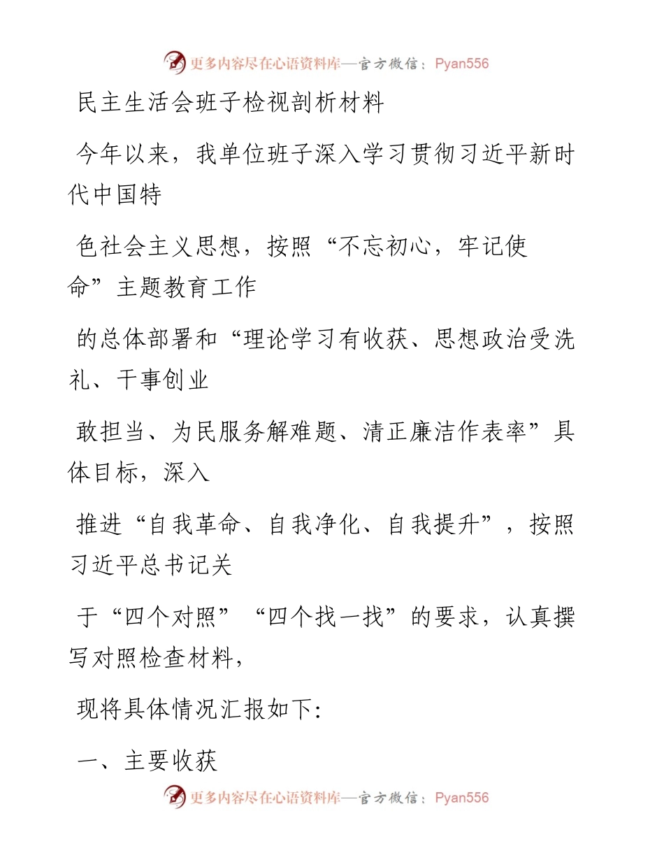 1203笔友分享民主生活会班子检视剖析材料.docx_第1页