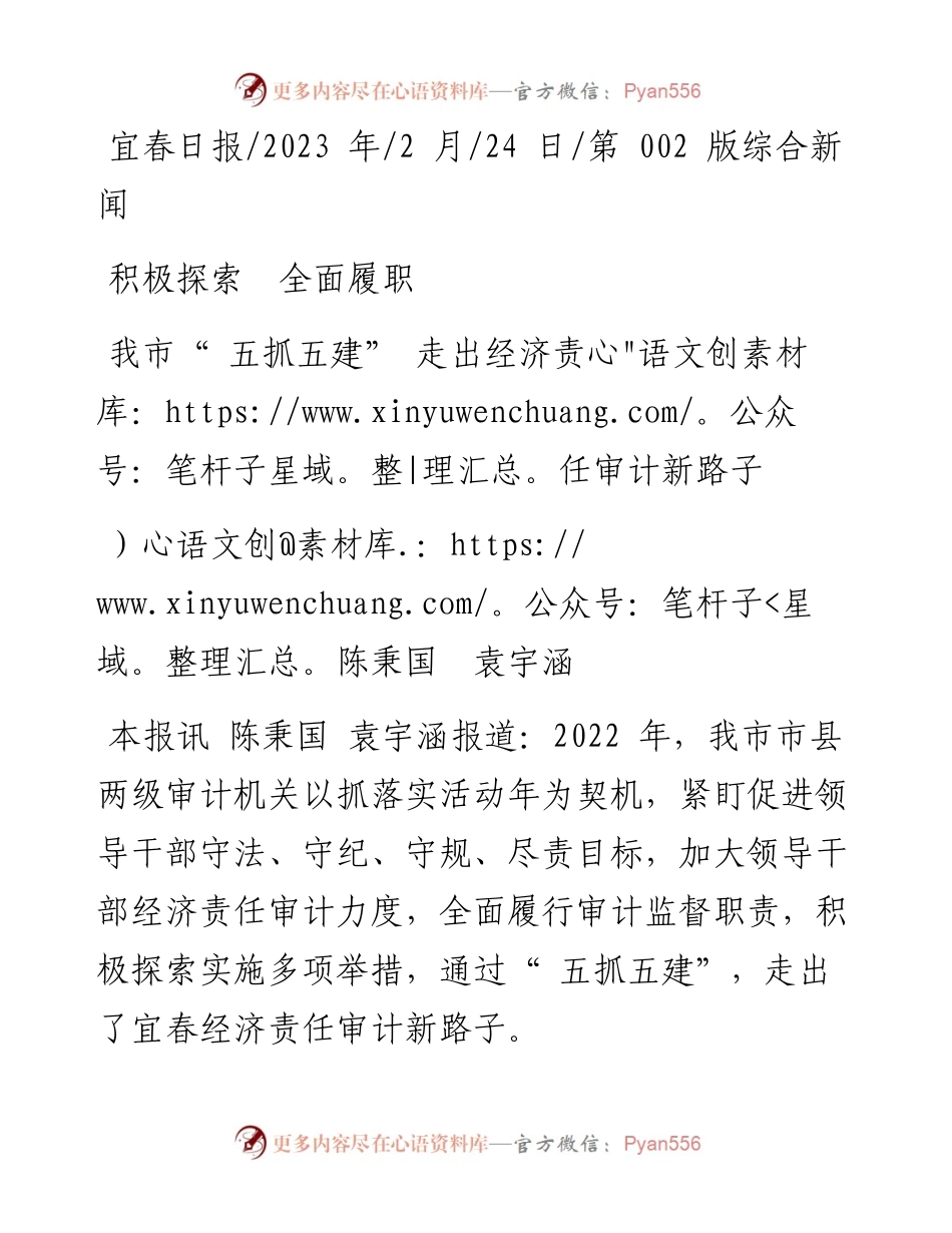 2023.02.24陈秉国袁宇涵：我市五抓五建走出经济责任审计新路子.docx_第1页